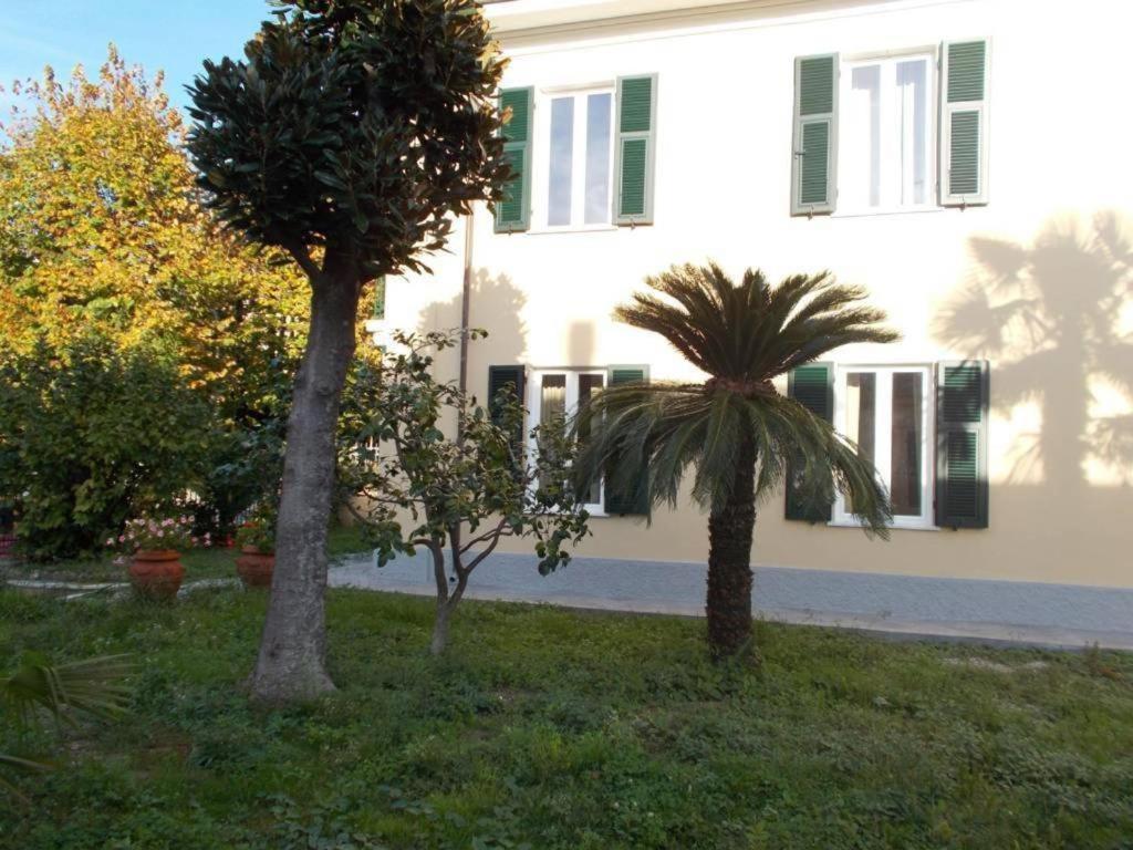 B&B Rossana Carrara Bagian luar foto